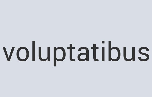 Aerodynamic Bronze Biscotti de Chien