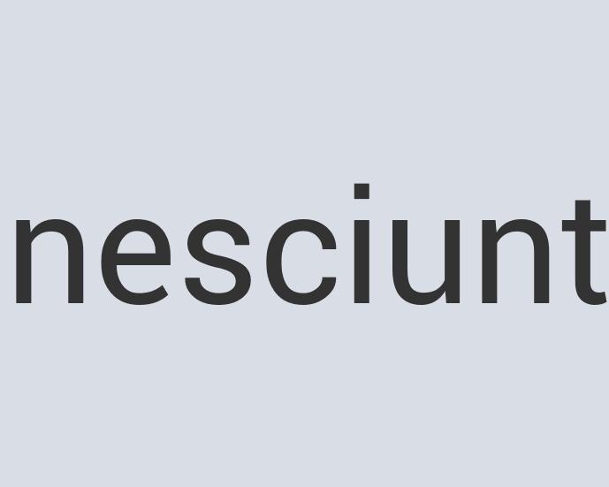 Aerodynamic Rubber BizSweeper