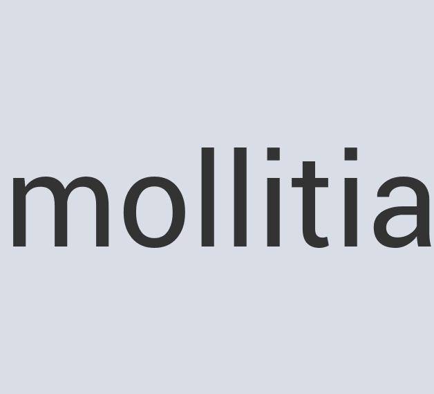 Aerodynamic Paper Meteor Media