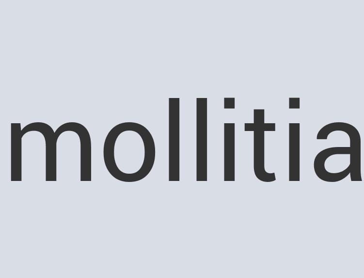 Lightweight Wooden Exozent