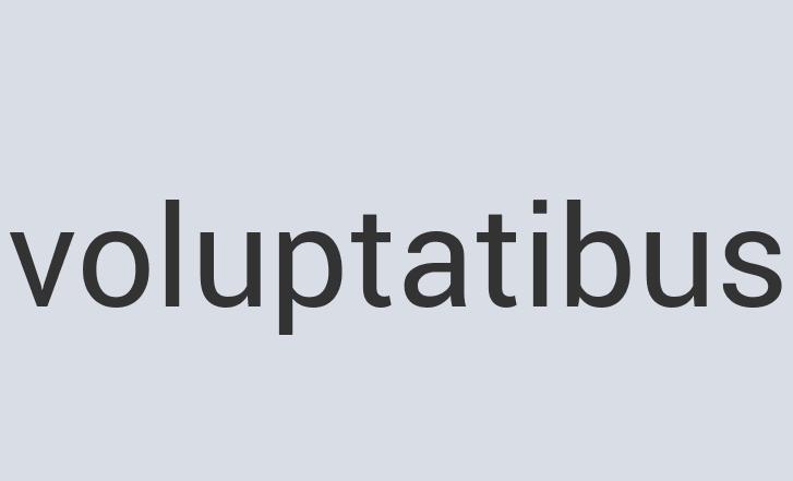 Ergonomic Silk Essentiaplex