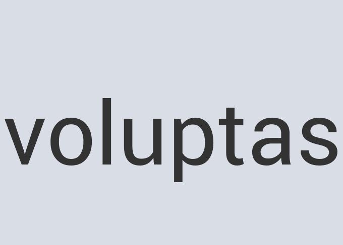 Lightweight Plastic Diaper Vision