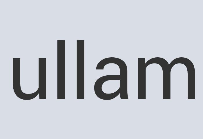 Aerodynamic Plastic Mr. Stain