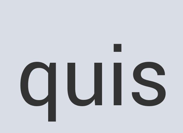 Small Iron Turtle Quick